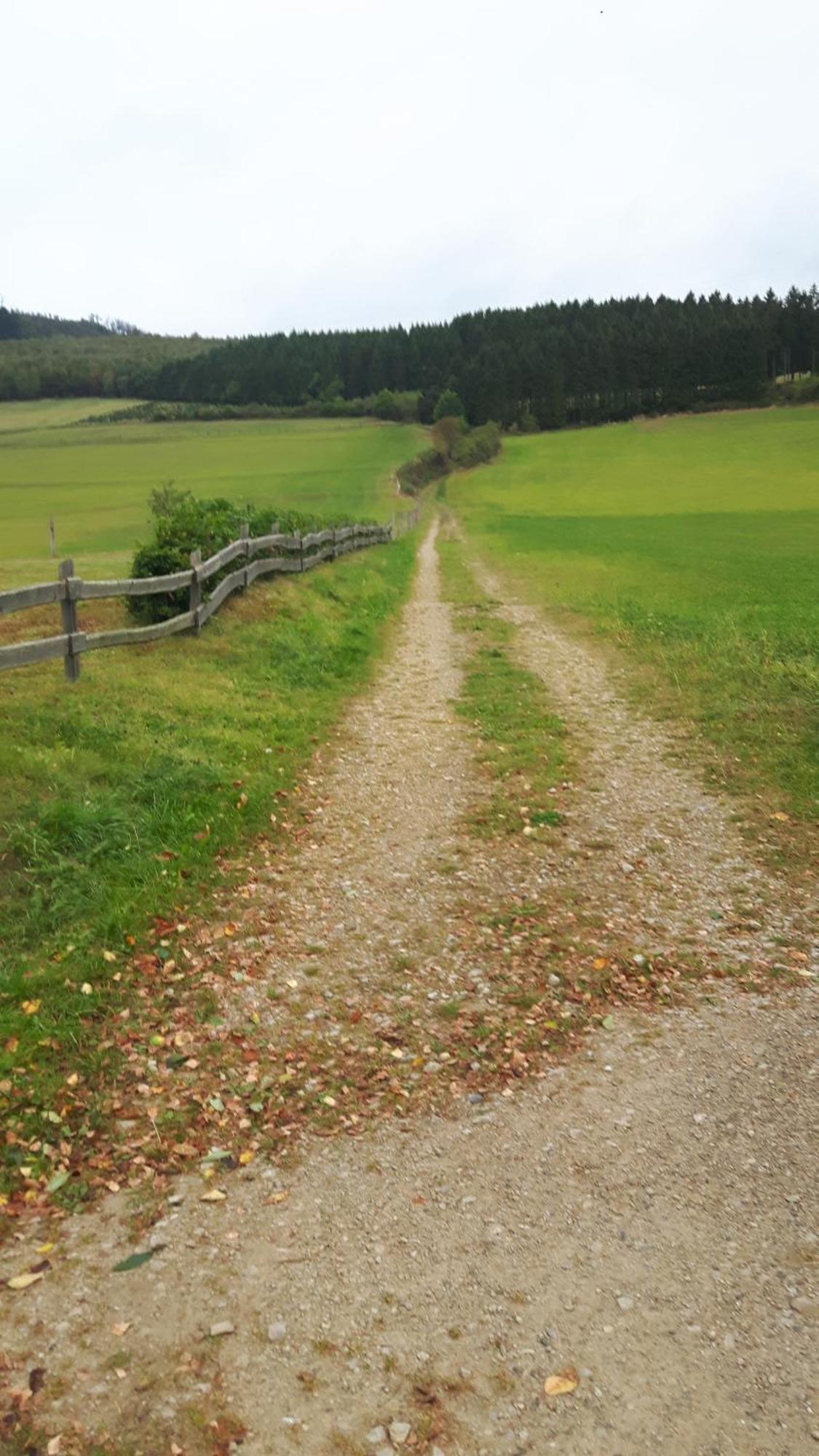 Landhaus Im Grund เลนเนชตัดท์ ภายนอก รูปภาพ