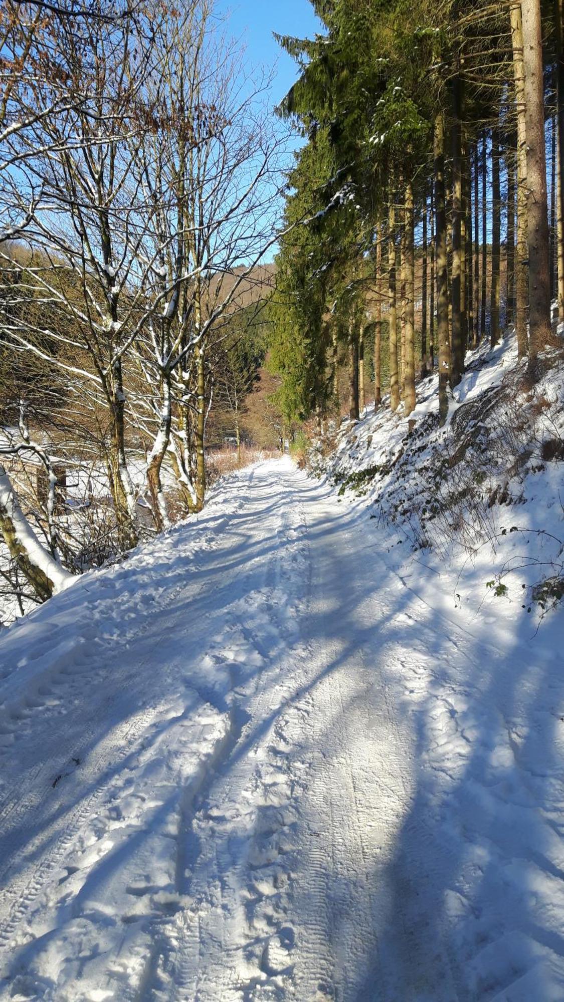 Landhaus Im Grund เลนเนชตัดท์ ภายนอก รูปภาพ